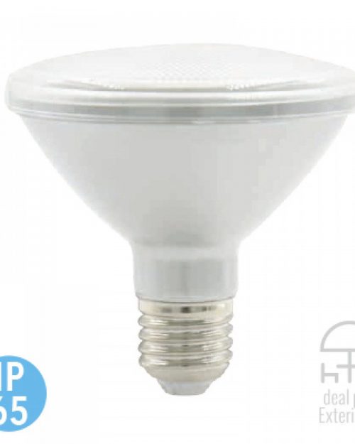Borealis I | LAMP LED PARES 13W100-240V6500KE27900LM | Tecnolite